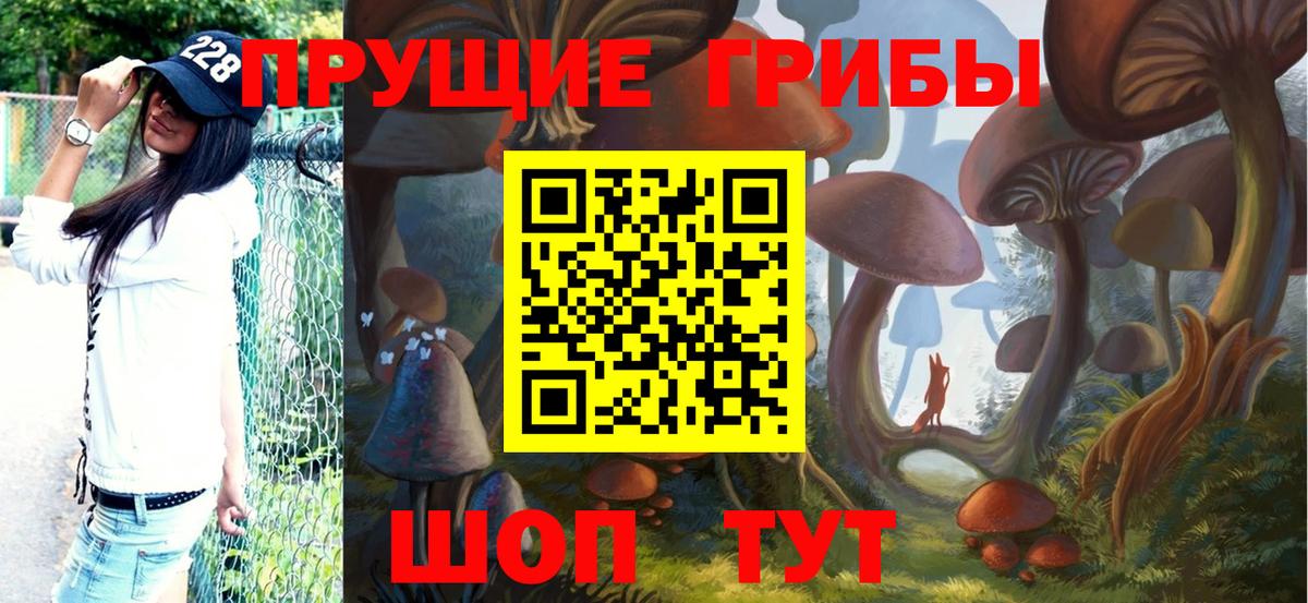 Галлюциногенные грибы прущие грибы Королёв