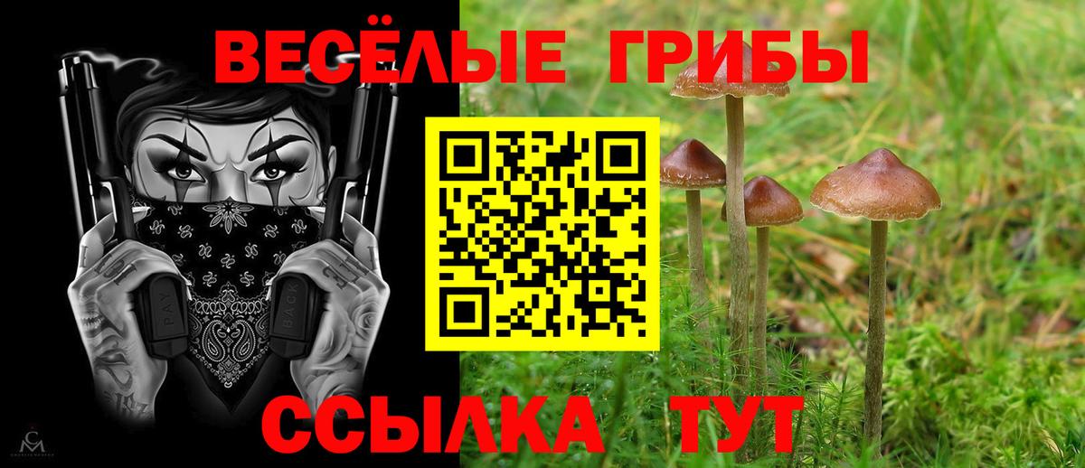 Королёв  Галлюциногенные грибы ЛСД  Вход с VPN 